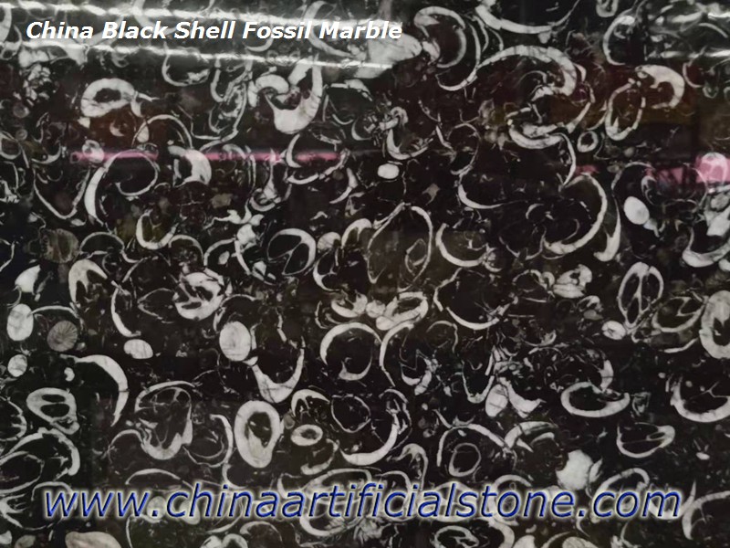 Китайский ископаемый мрамор Black Shell